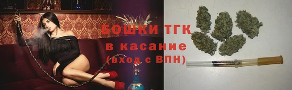 spice Алексин