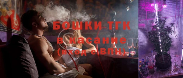 молекула духа Алексеевка